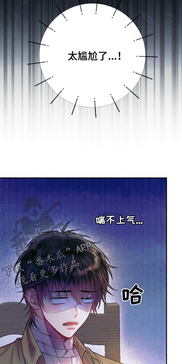 第67章：一起用餐17