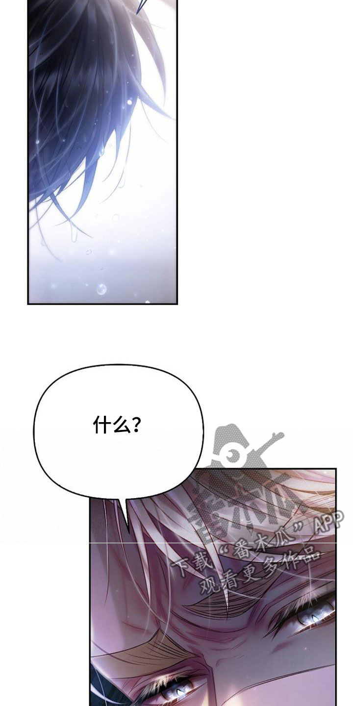 第72章：我也有话要说3