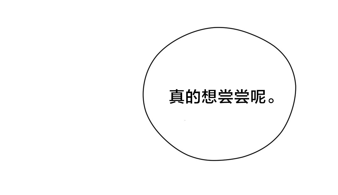 第16章：测试13