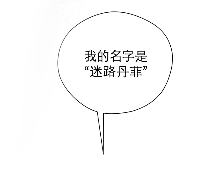 第4章：迷路丹菲12