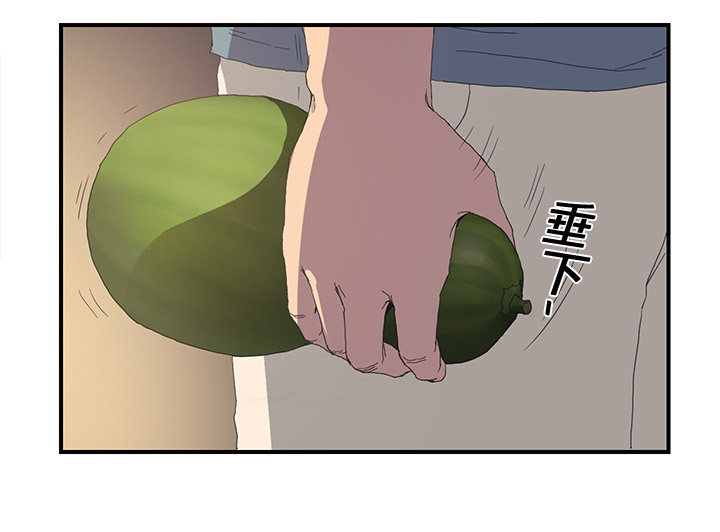 第3章：西葫芦29