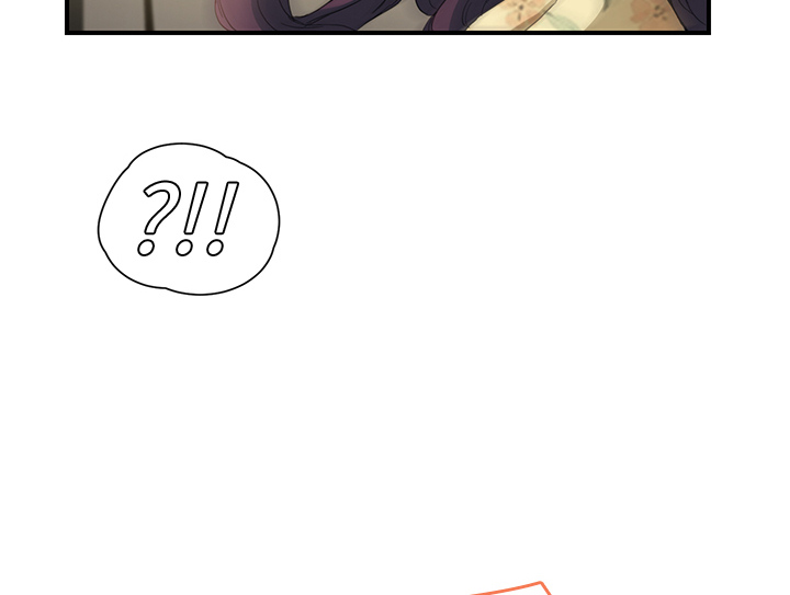 第24章：保密11