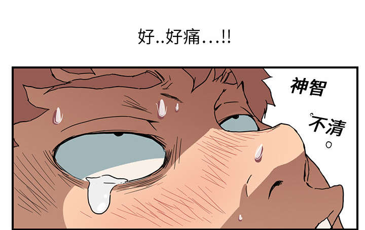 第10章：产生幻觉4