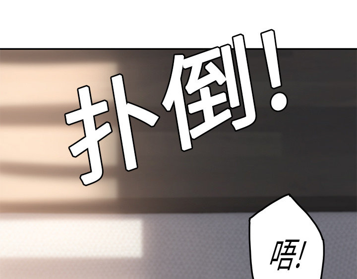 第44章：偷情65