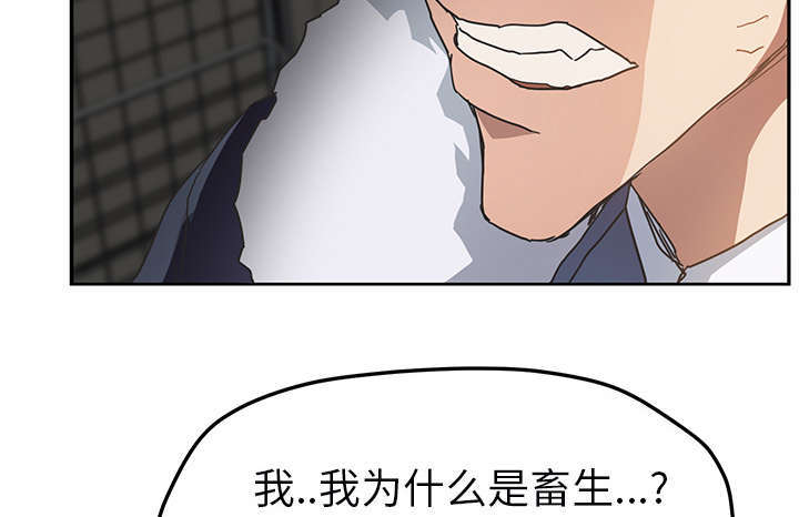 第91章：干脆去死吧37