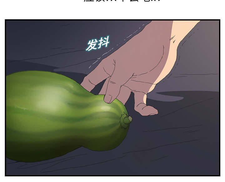 第3章：西葫芦24