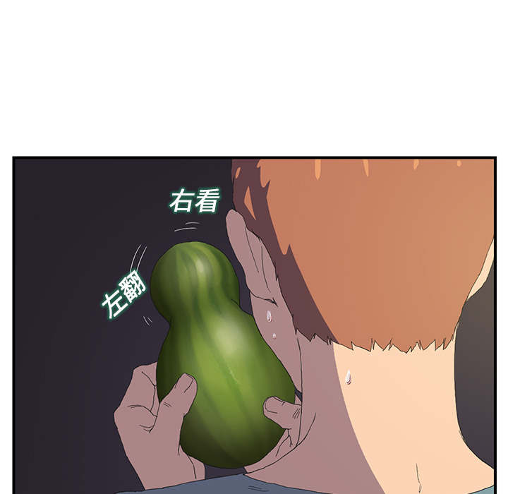 第3章：西葫芦27