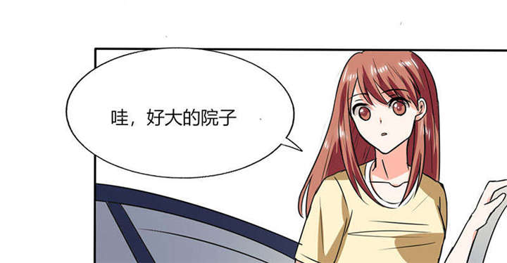 第41章：总裁的豪宅33