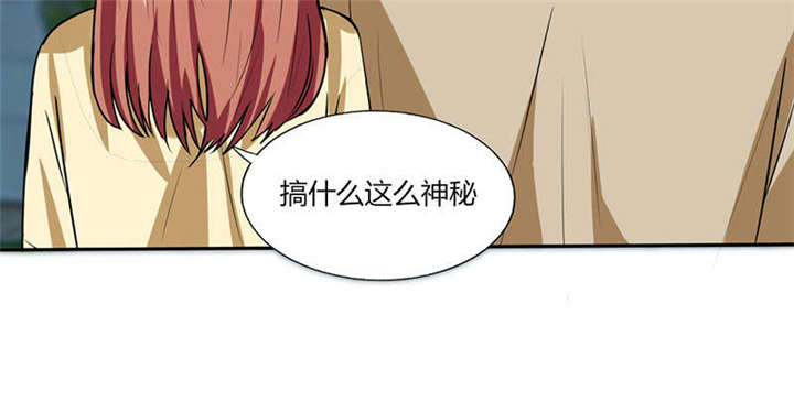 第41章：总裁的豪宅36