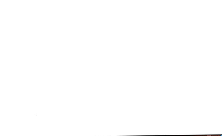 第21章：这下怎么办5