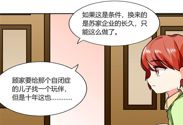 第19章：苏先生的过往24