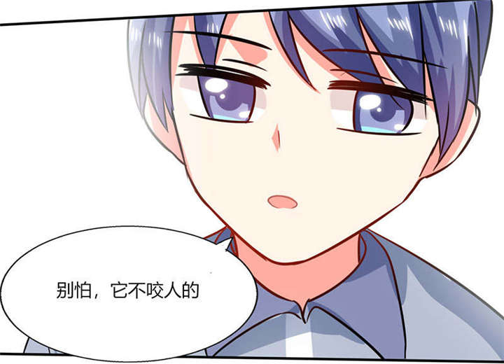 第26章：番外三：你的名字是……29