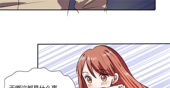 第41章：总裁的豪宅10