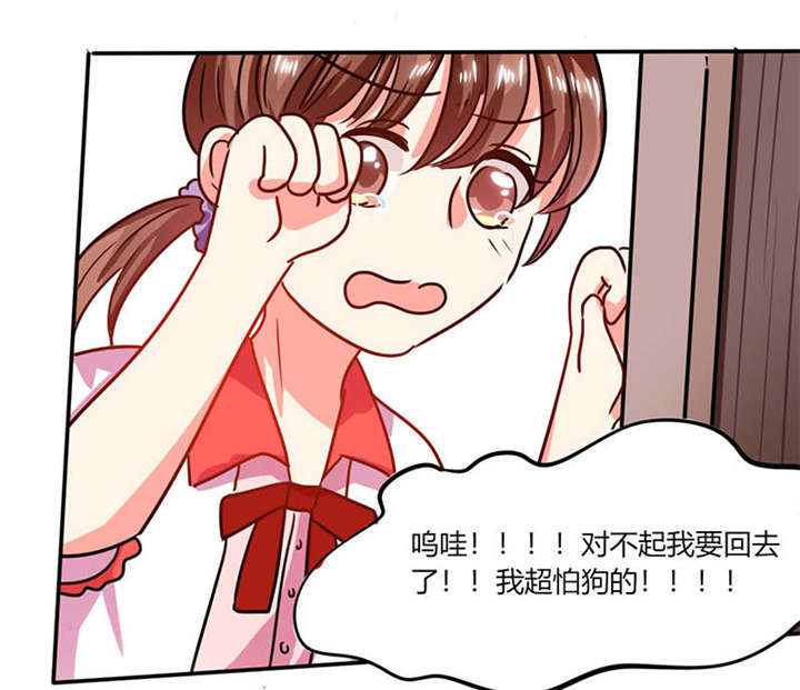 第26章：番外三：你的名字是……27