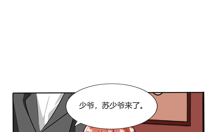 第19章：苏先生的过往17