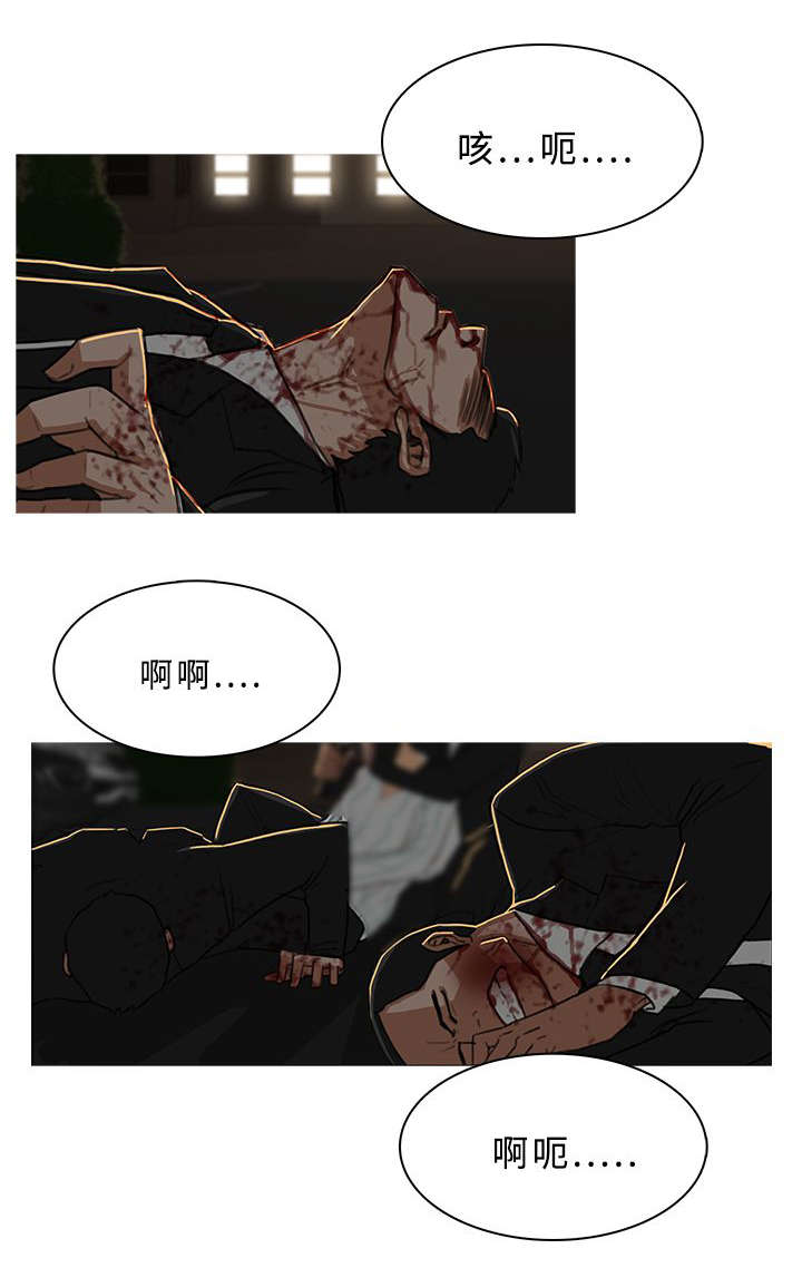 第52章：大显身手8