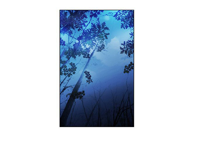 第41章：碟中谍计划0