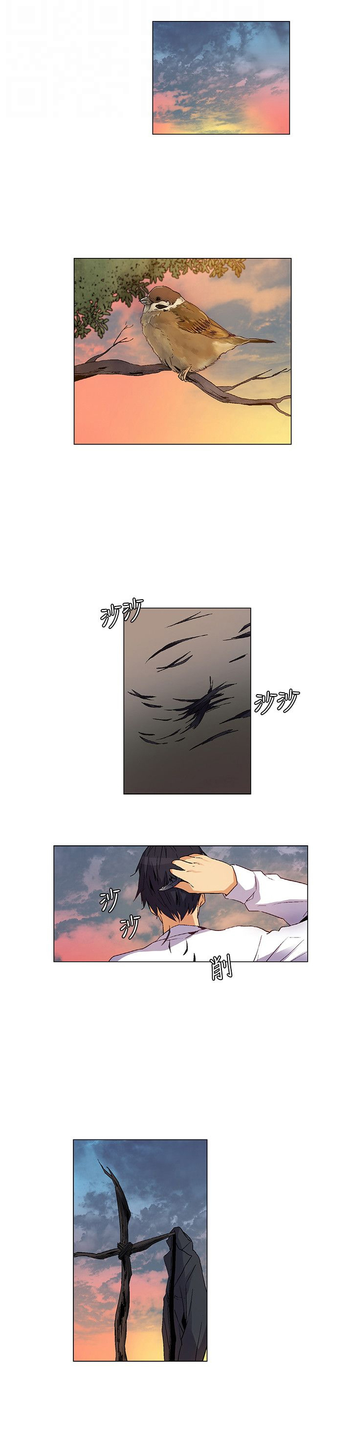 第27章：第一场雨0