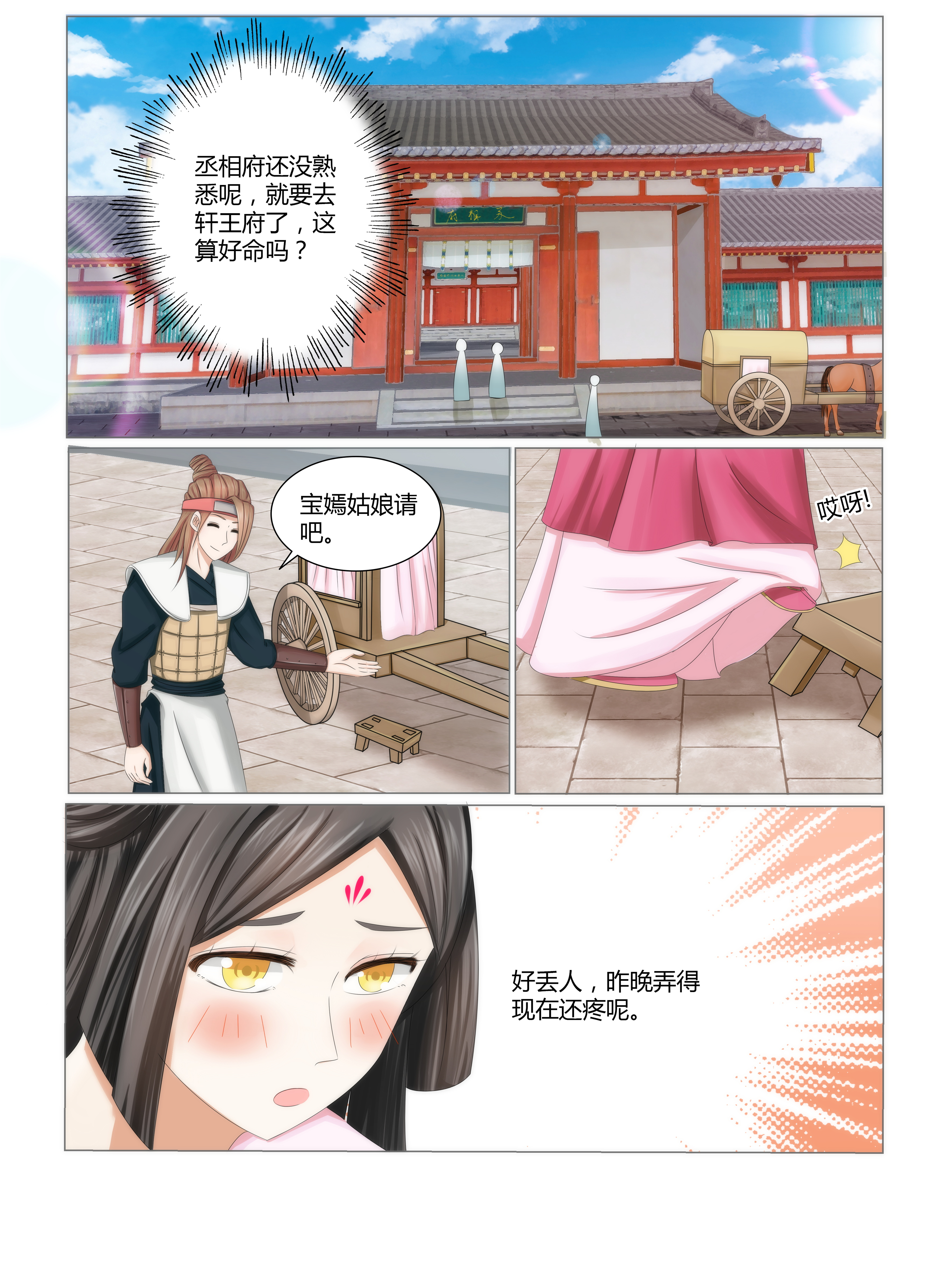 第4章：初入轩王府0