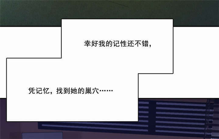 第20章：金牌扒手11