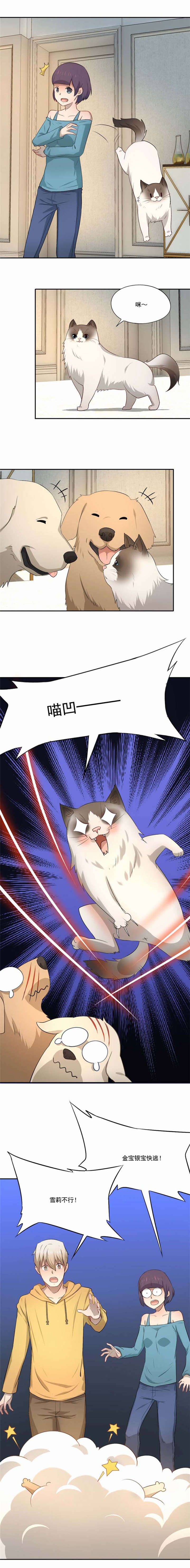 第53章：求助猫大王4