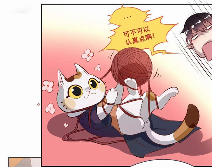 第2章：死亡通知书21