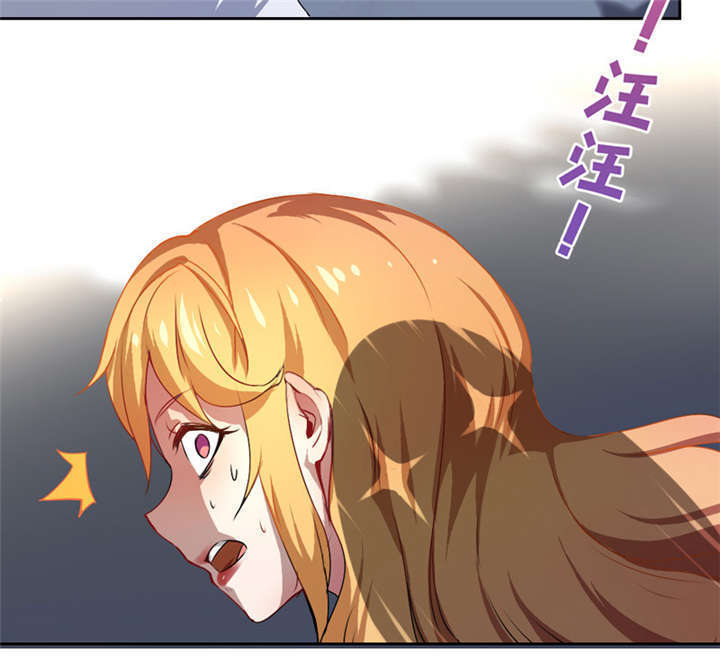 第9章：放狗咬人35