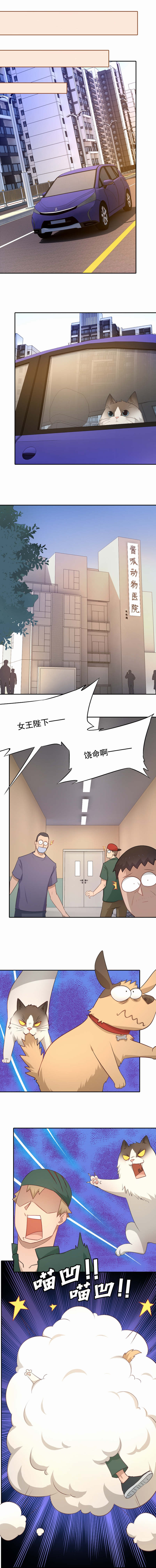 第59章：新晋猫奴1