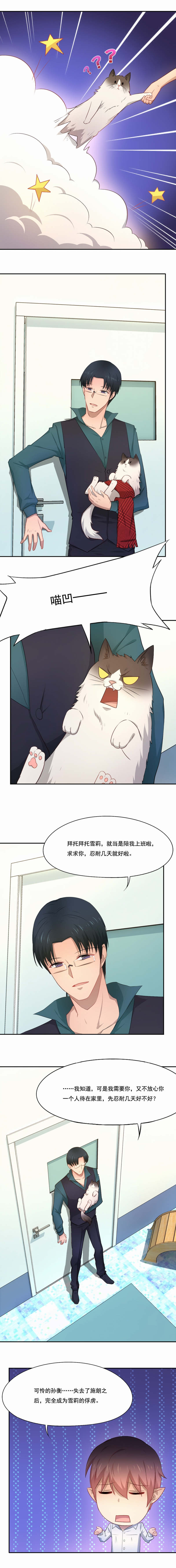 第59章：新晋猫奴2