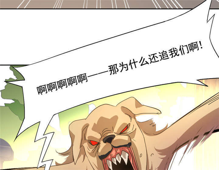 第9章：放狗咬人31
