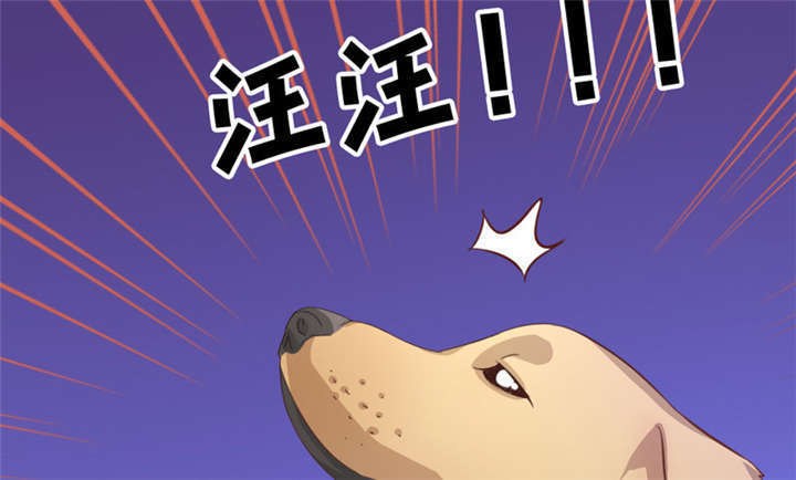 第10章：你来引渡谁？6