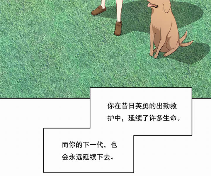 第46章：致敬英雄64