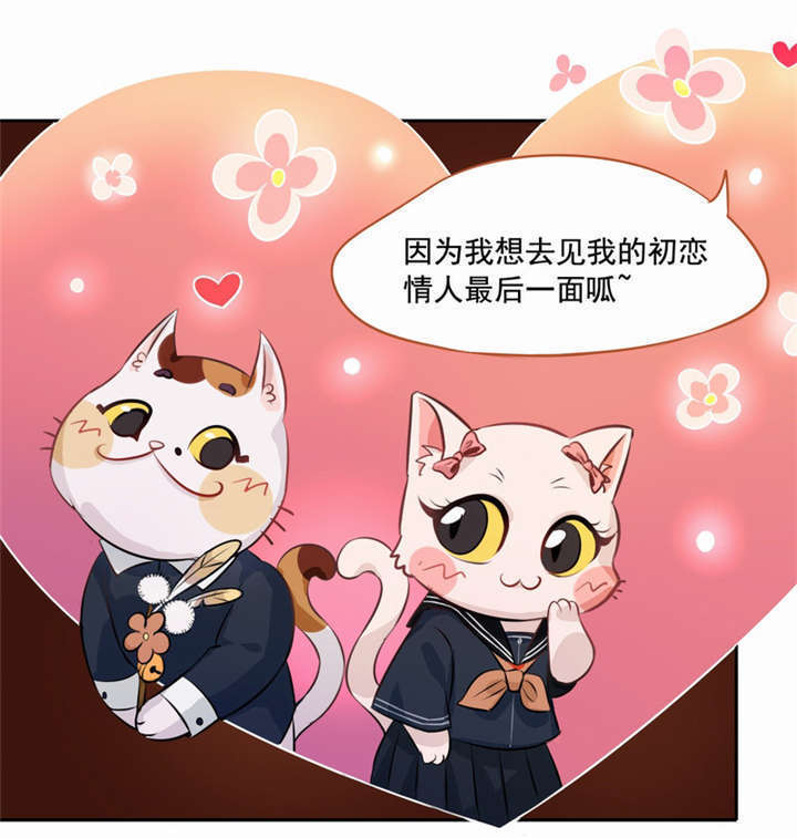 第2章：死亡通知书29