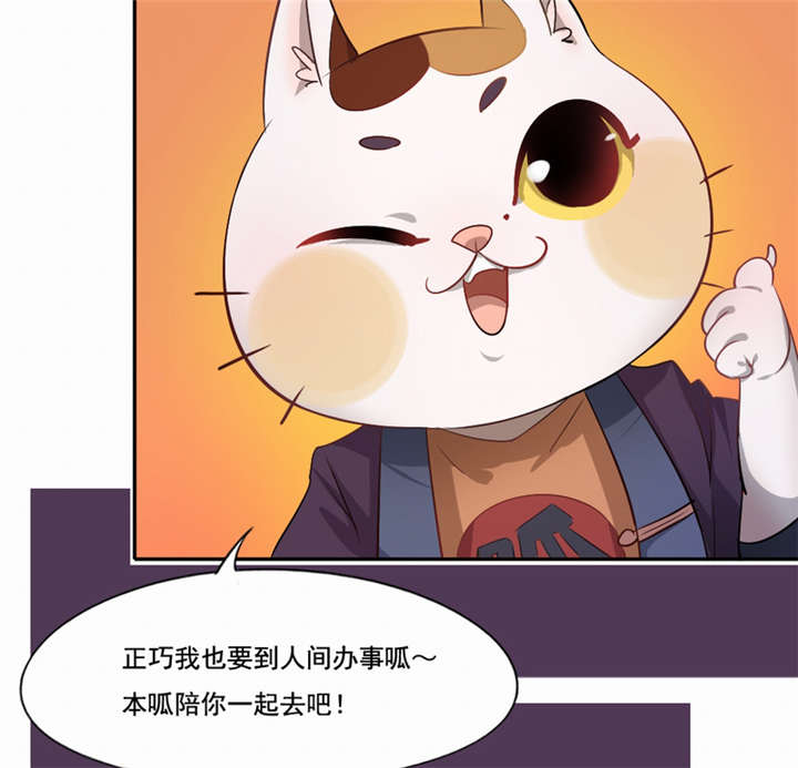 第46章：致敬英雄6