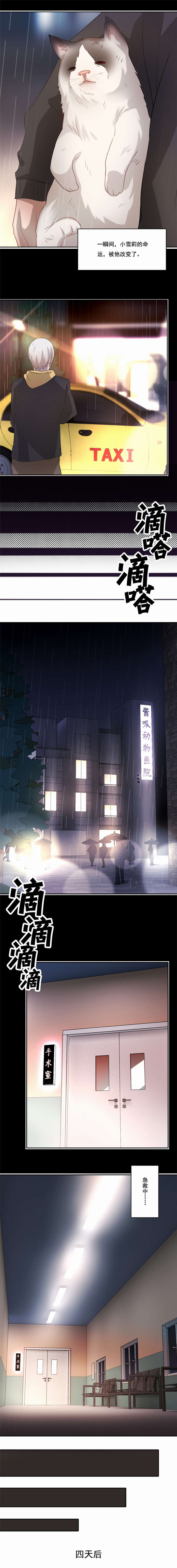 第48章：我来抚养它吧0