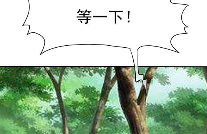 第114章：安澜坠崖38
