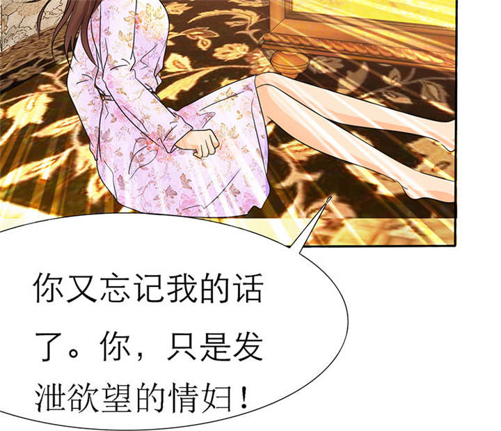 第64章：你爱过我吗34