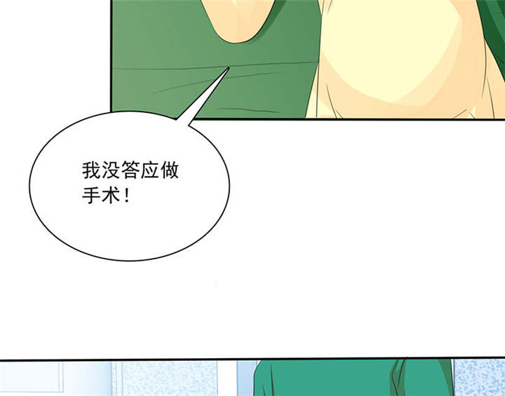 第84章：剖腹产13