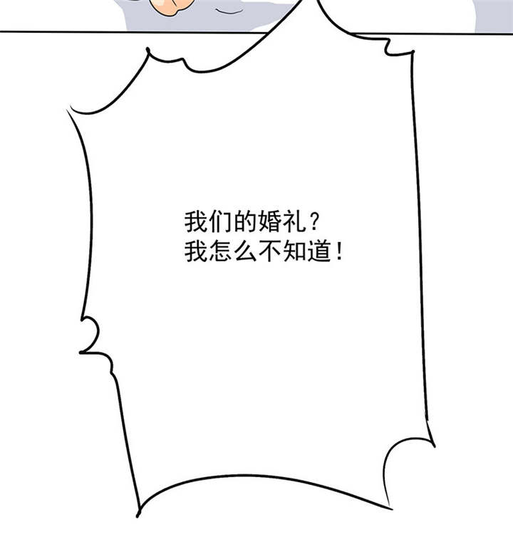 第90章：你愿意嫁给我吗？22