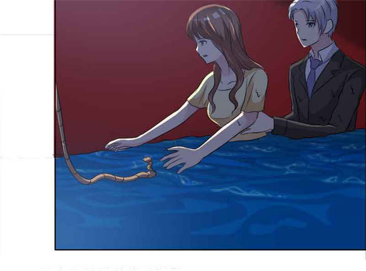 第137章：干掉两个5