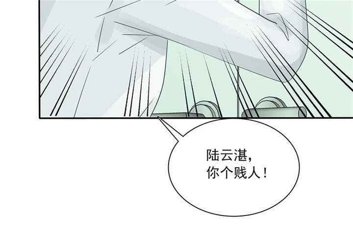 第84章：剖腹产51