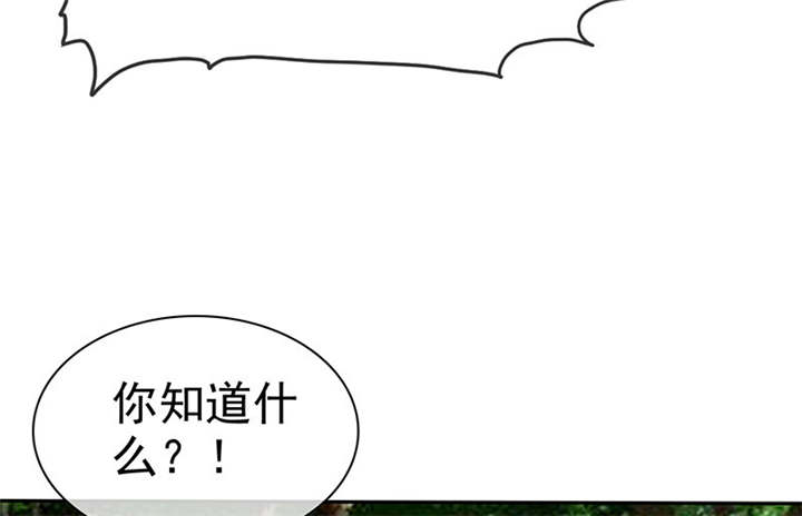 第114章：安澜坠崖69