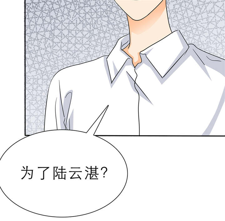 第54章：陆云湛这个王八蛋32