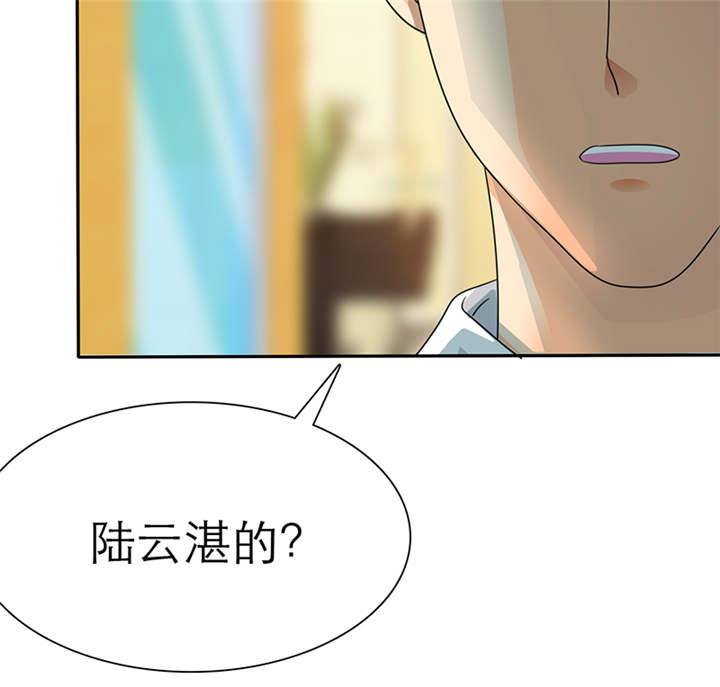 第54章：陆云湛这个王八蛋6