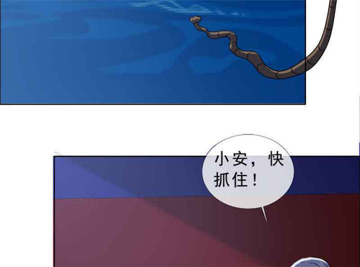 第137章：干掉两个4
