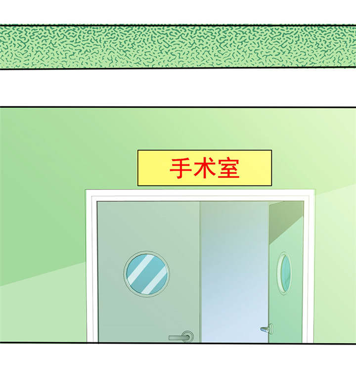 第84章：剖腹产53