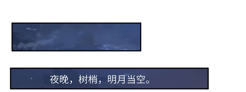 第65章：入境 下0