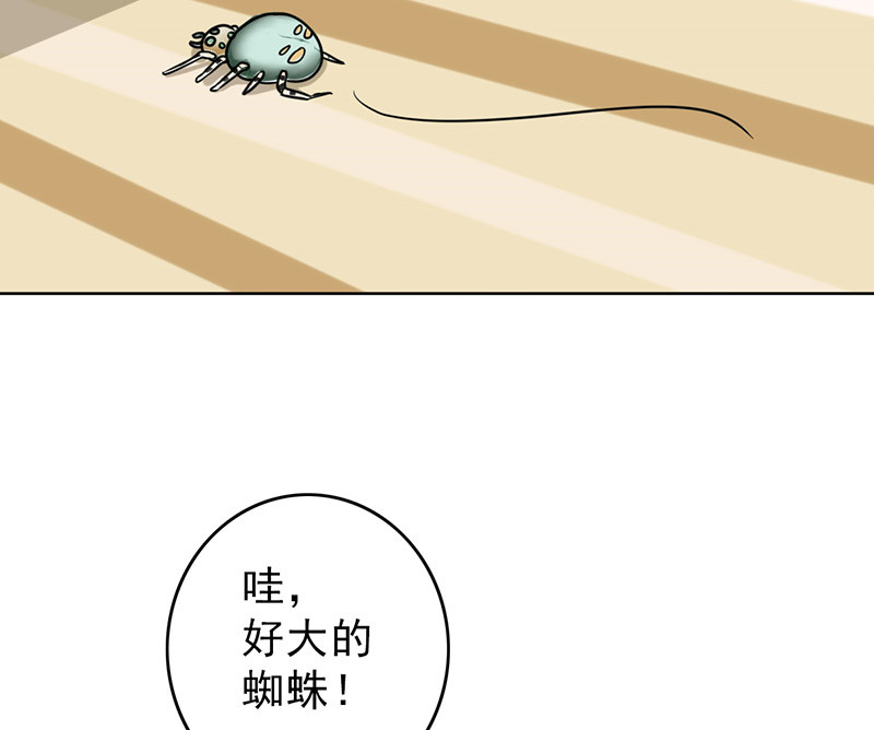 第38章：人不可貌相26