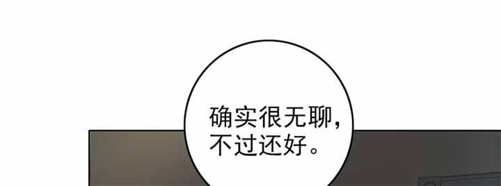 第64章：圣诞啊……53