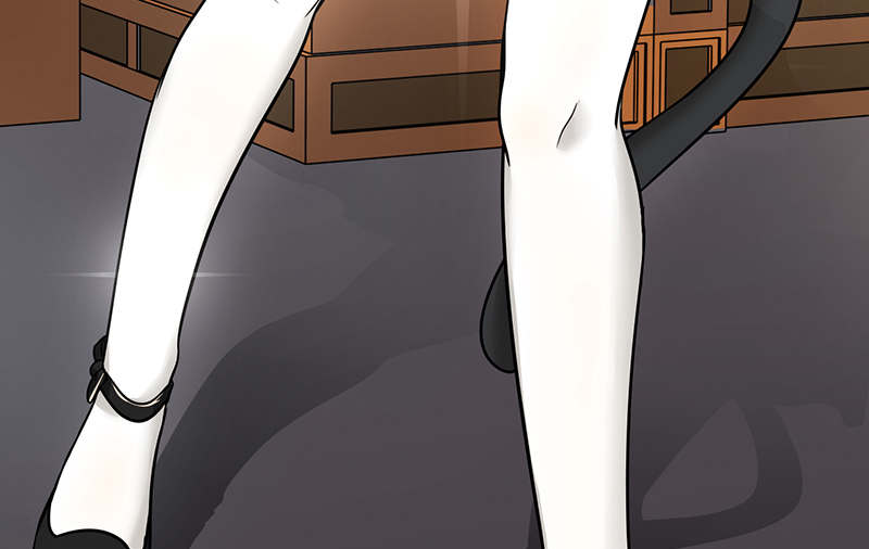 第61章：猫耳女仆14